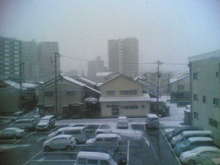 ��͂�~��܂���