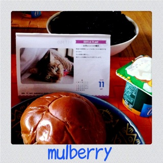 mulberry