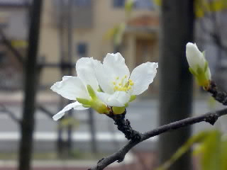 �撣��䂷��~