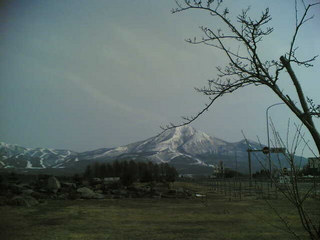 ��C�̓q������