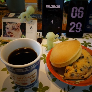 �������p���ƃp���P�[�L