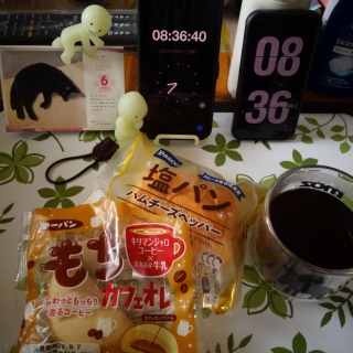 �����J�t�F�I���Ɖ��p��