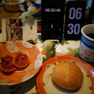 �~�j�t�����X