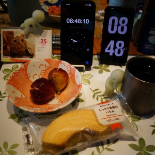 �o�E��