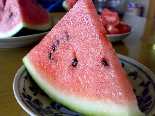 �����琼�Z