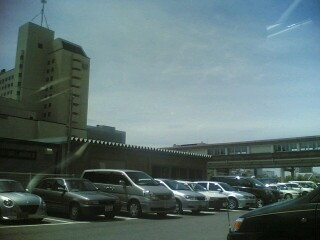 �V���s������