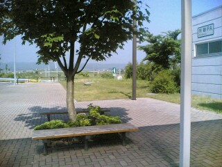 �v���Ԃ�̏o��