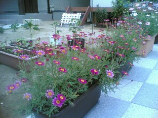 �����͕���