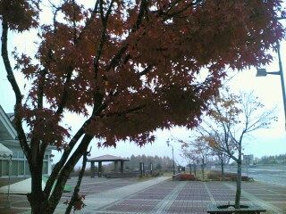 �v���Ԃ�Ɉ�l��