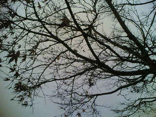 ��������~