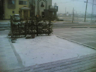 �V���s�����ϐ�