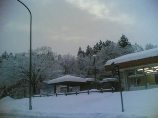 ���C�̍��Ԃ�