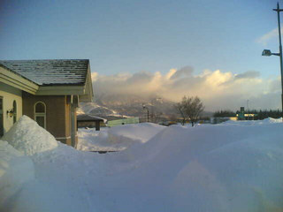 �v���Ԃ�̔֒�R