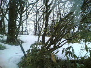 �����Ȃ��ė��܂���